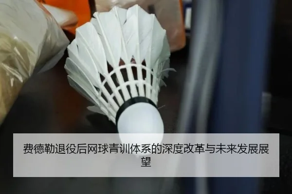 费德勒退役后网球青训体系的深度改革与未来发展展望 - NG28